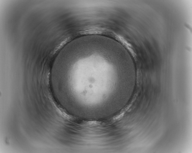 X0000096470153200801241436