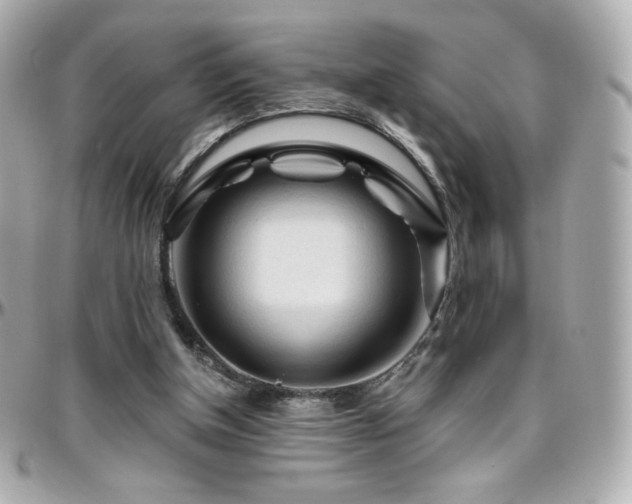 X0000096470154200801241436