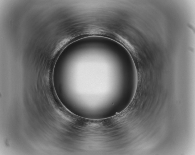 X0000096470155200801241436