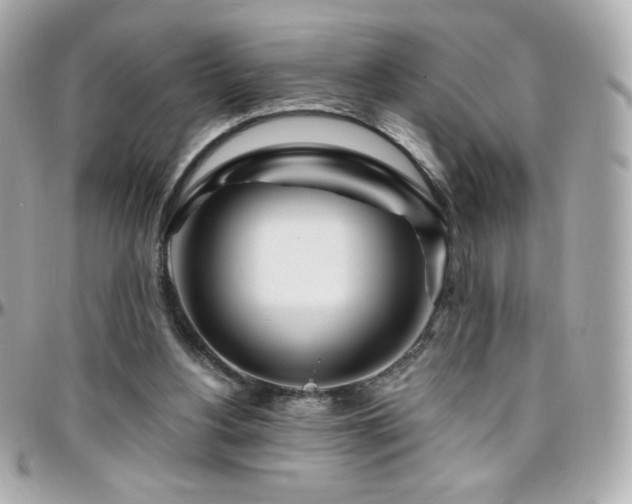 X0000096470156200801241436