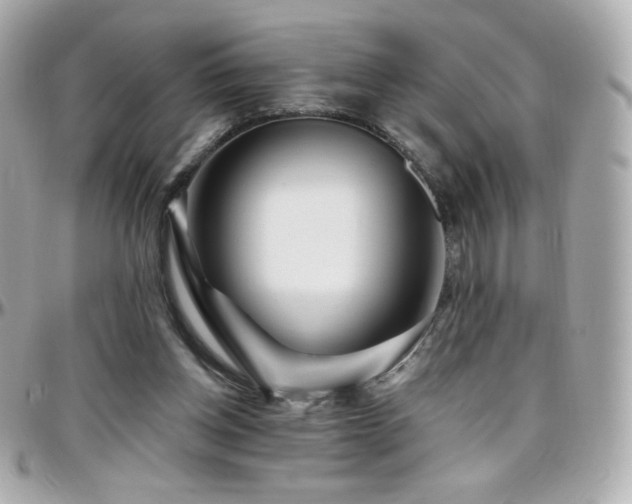 X0000096470158200801241436