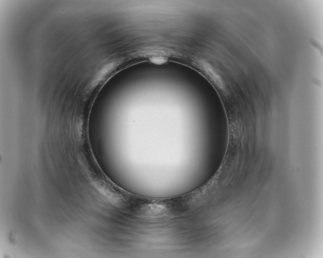 X0000096470159200801241436