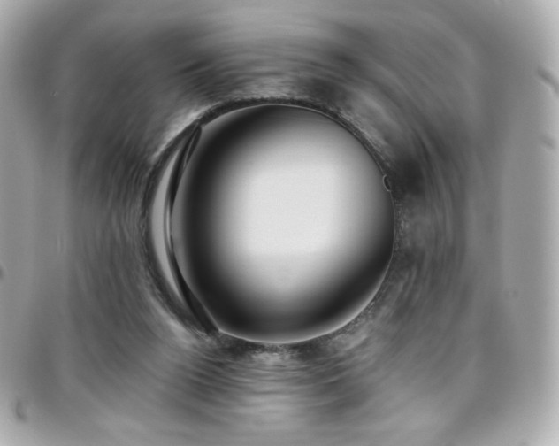 X0000096470160200801241436