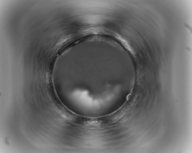 X0000096470161200801241436