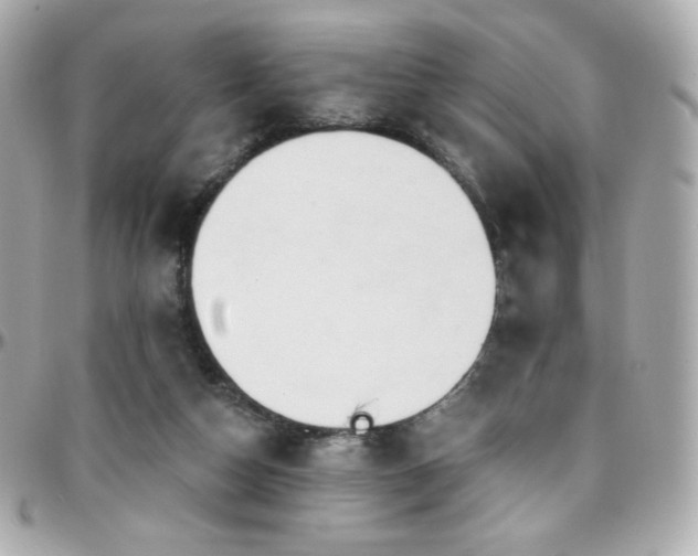 X0000096470162200801241436