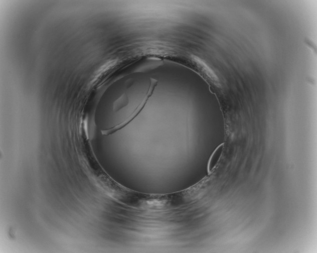 X0000096470163200801241436