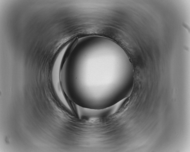 X0000096470164200801241436