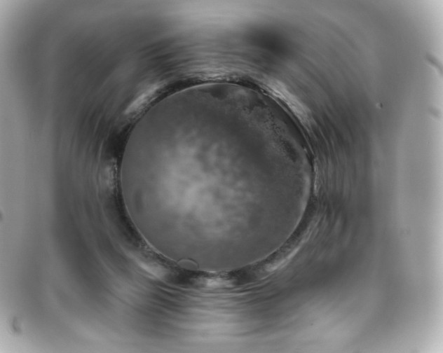 X0000096470165200801241436