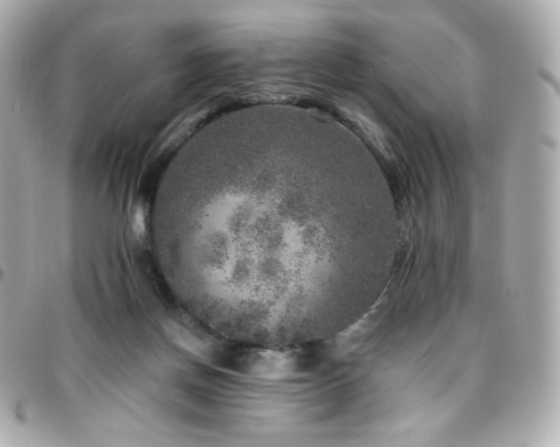 X0000096470166200801241436