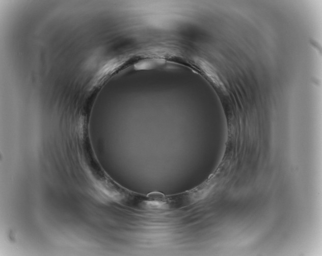 X0000096470167200801241436