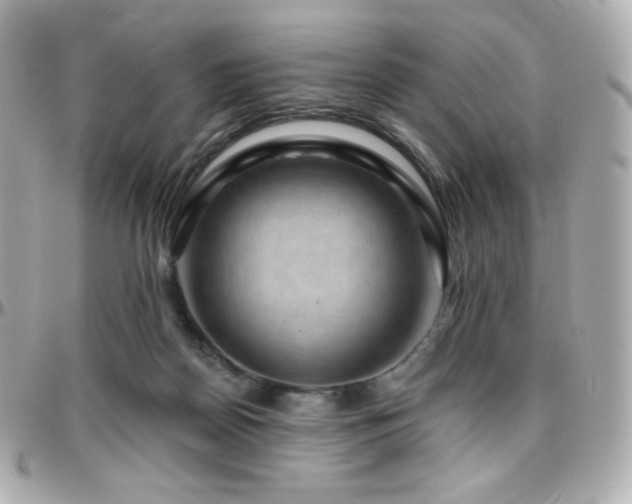 X0000096470170200801241436