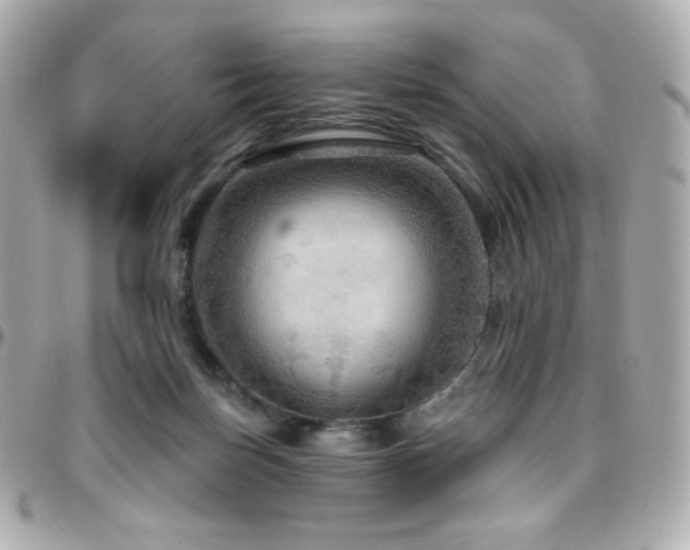 X0000096470171200801241436