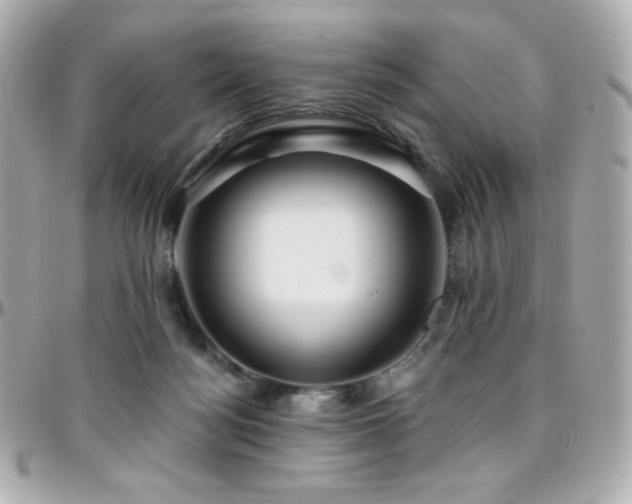 X0000096470172200801241436