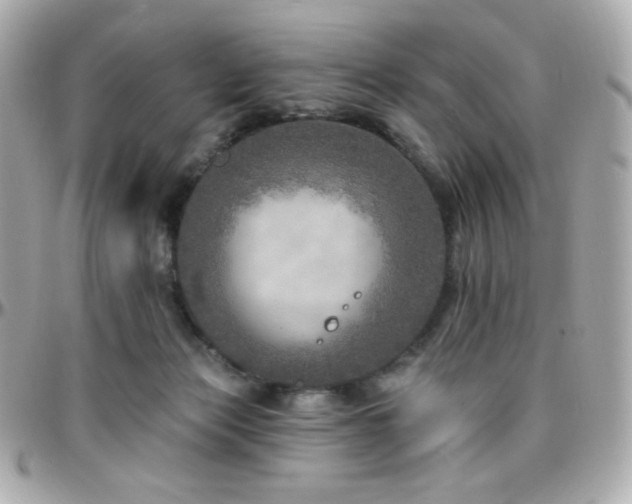 X0000096470173200801241436