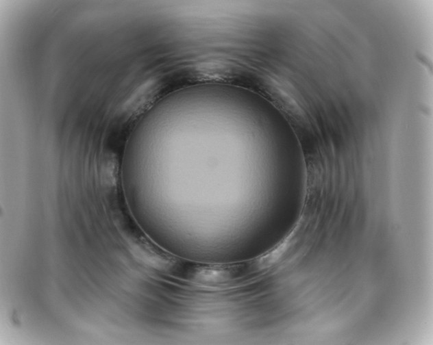 X0000096470174200801241437