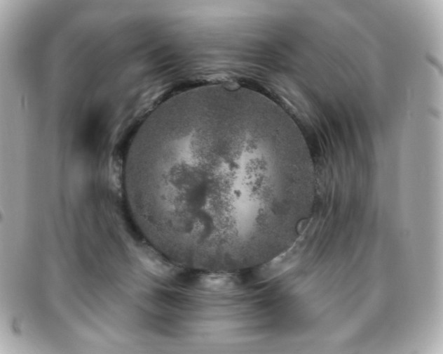 X0000096470175200801241437