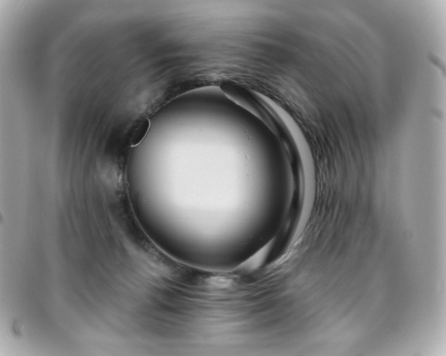 X0000096470176200801241437