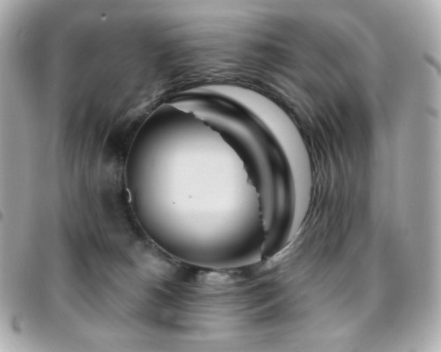 X0000096470180200801241437