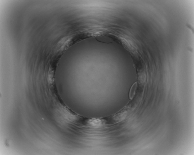 X0000096470181200801241437