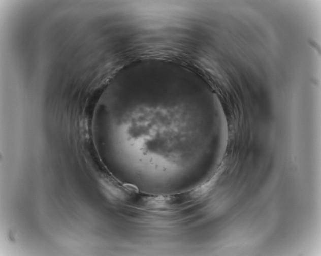 X0000096470182200801241437