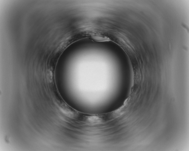 X0000096470183200801241437