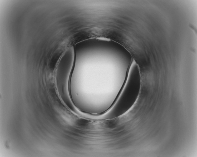 X0000096470186200801241437