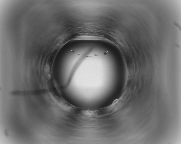 X0000096470187200801241437