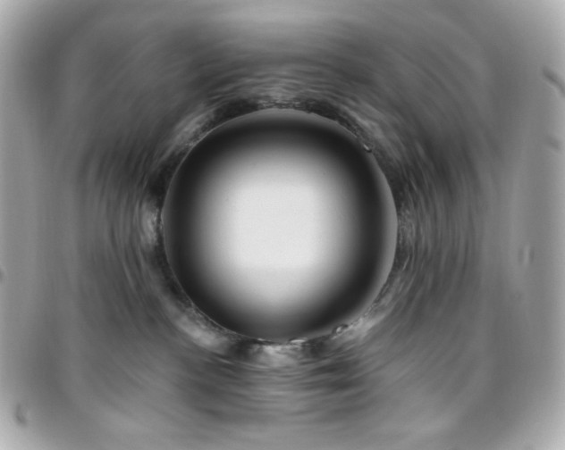 X0000096470188200801241437