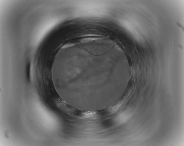 X0000096470189200801241437