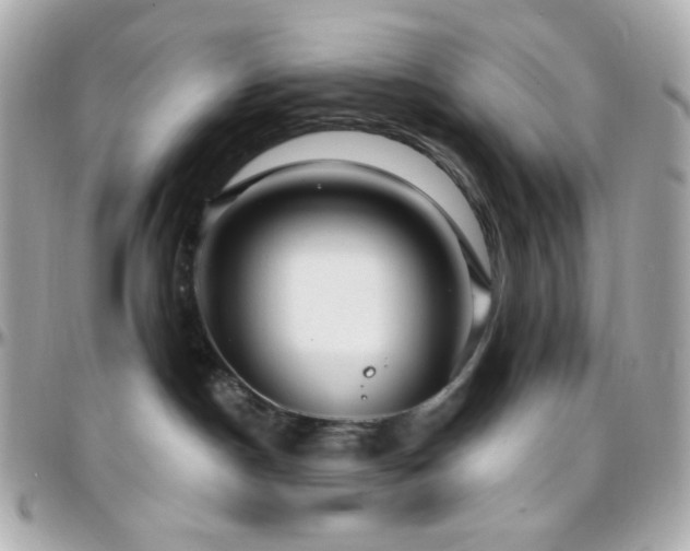 X0000096470190200801241437