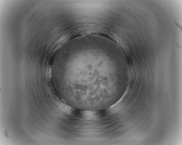 X0000096470191200801241437