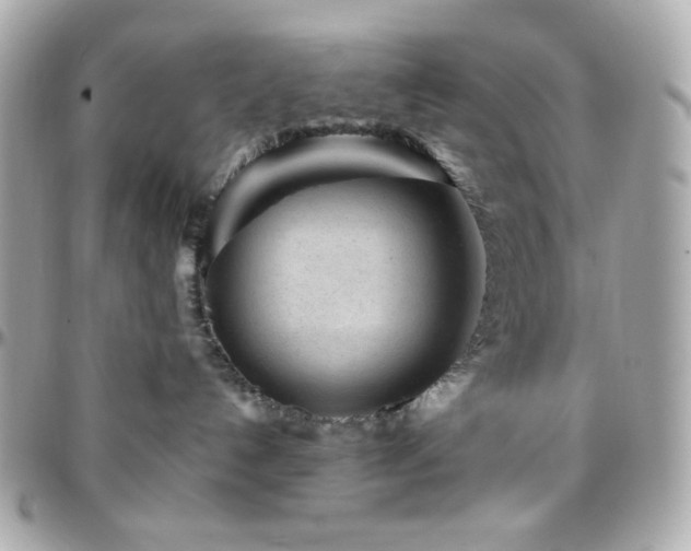 X0000096470192200801241437