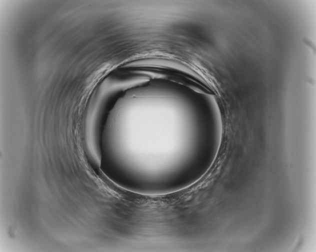 X0000096470193200801241436