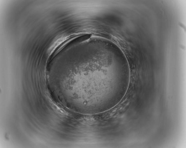 X0000096470194200801241436