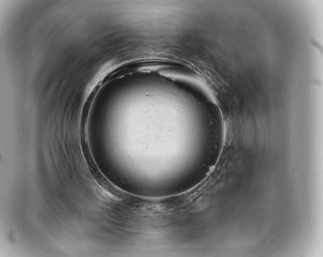 X0000096470195200801241436