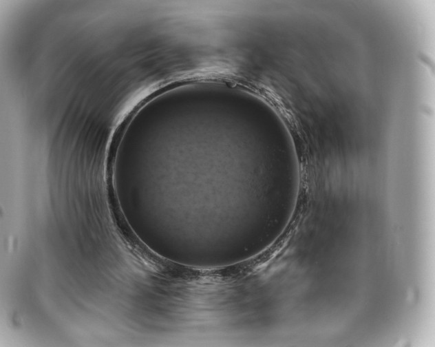 X0000096470196200801241436