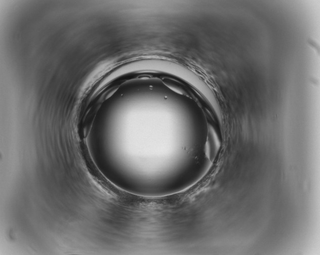 X0000096470197200801241436