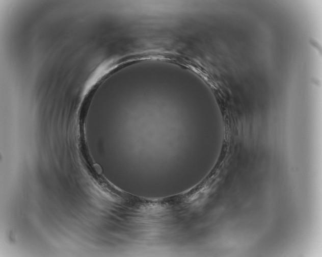 X0000096470198200801241436