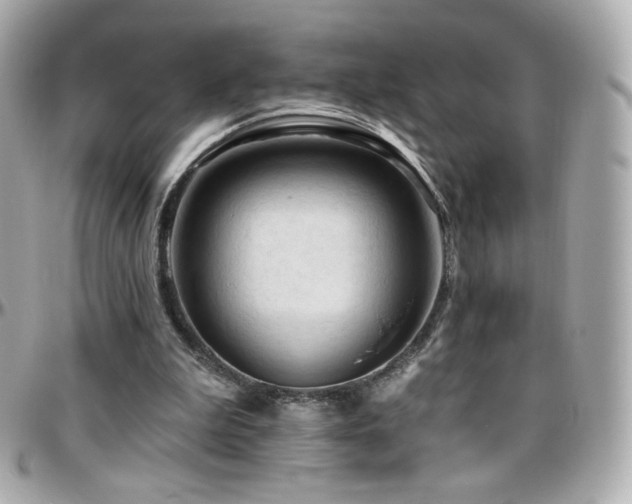 X0000096470199200801241436