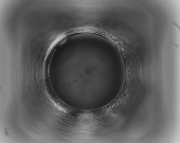 X0000096470200200801241436