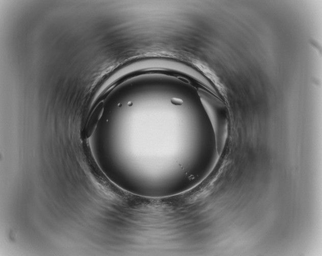 X0000096470201200801241436