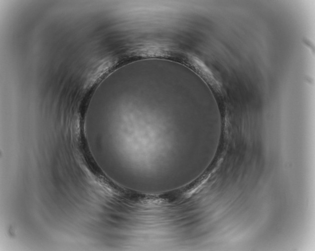 X0000096470202200801241436