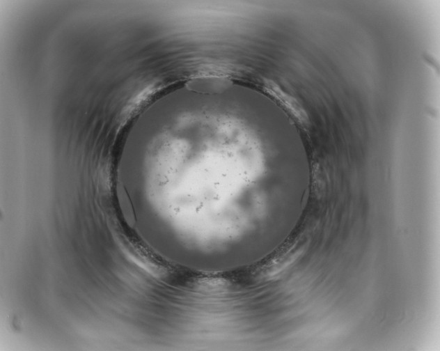 X0000096470203200801241436