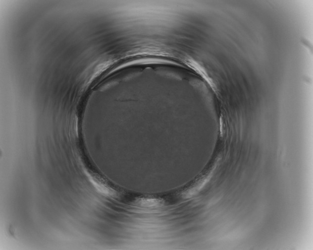 X0000096470205200801241436