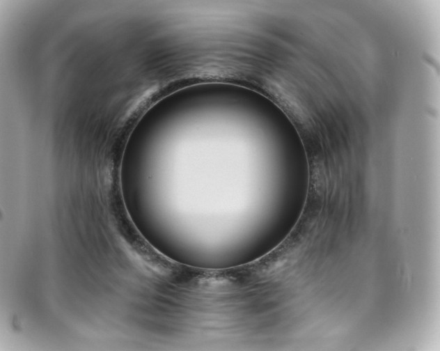 X0000096470208200801241436