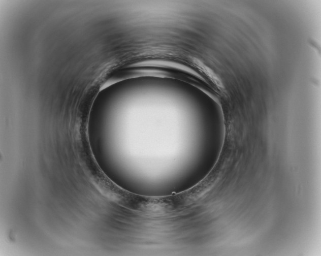 X0000096470209200801241436