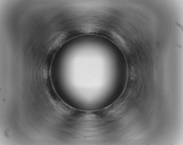 X0000096470210200801241436