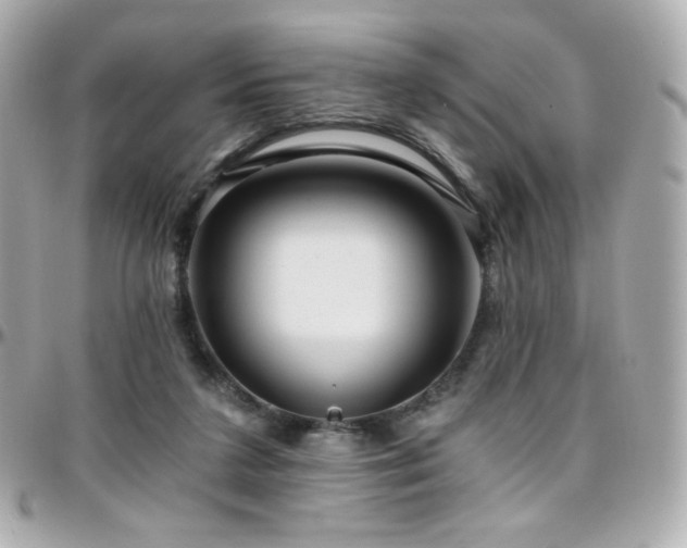 X0000096470211200801241436