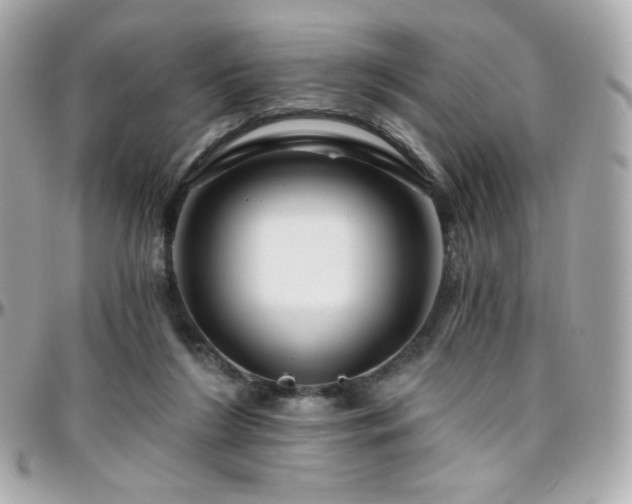 X0000096470212200801241436