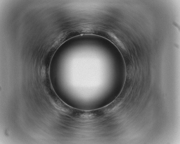 X0000096470213200801241436